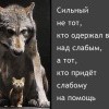 Сила Сила