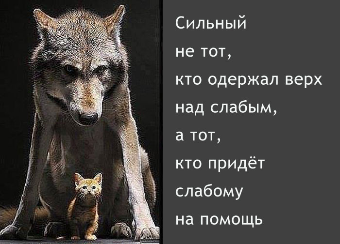 Сила
