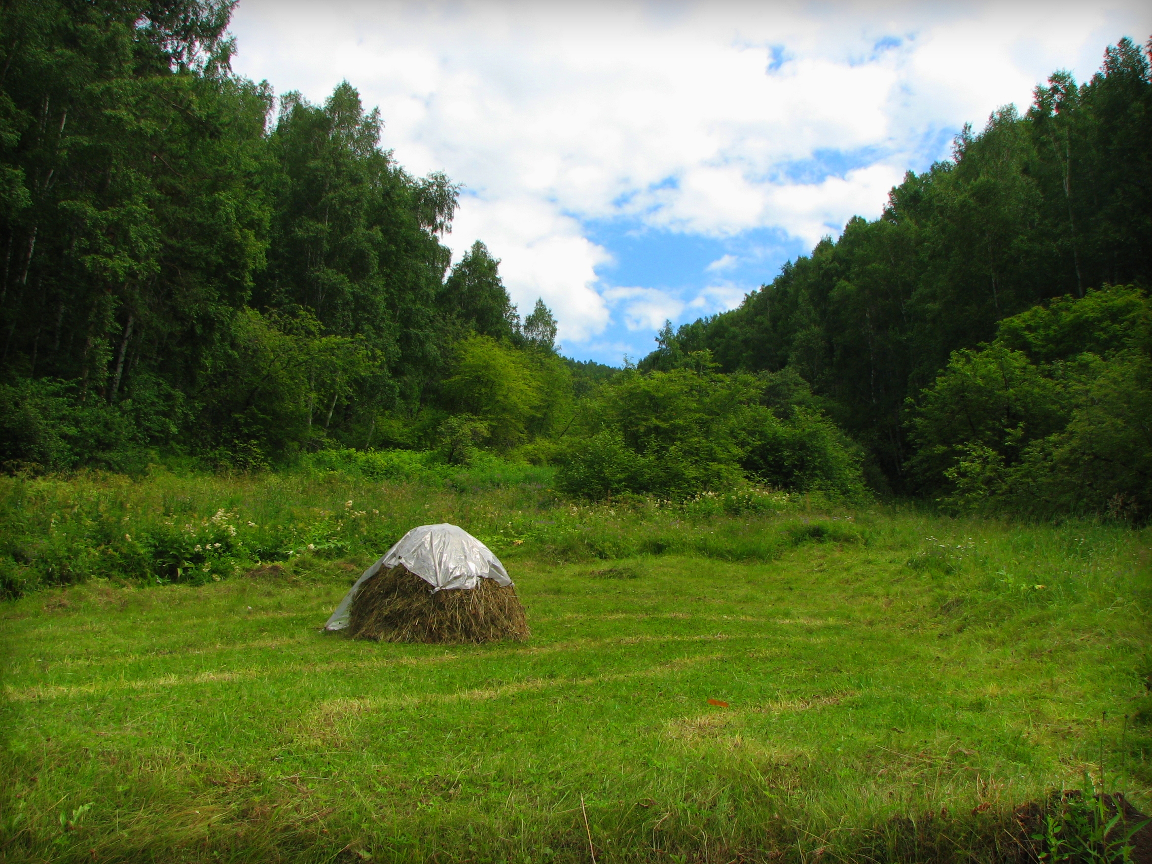 Порт Байкал 2012 (29)