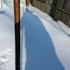 сирёгина околозаборная тень)))))) сирёгина околозаборная тень))))))