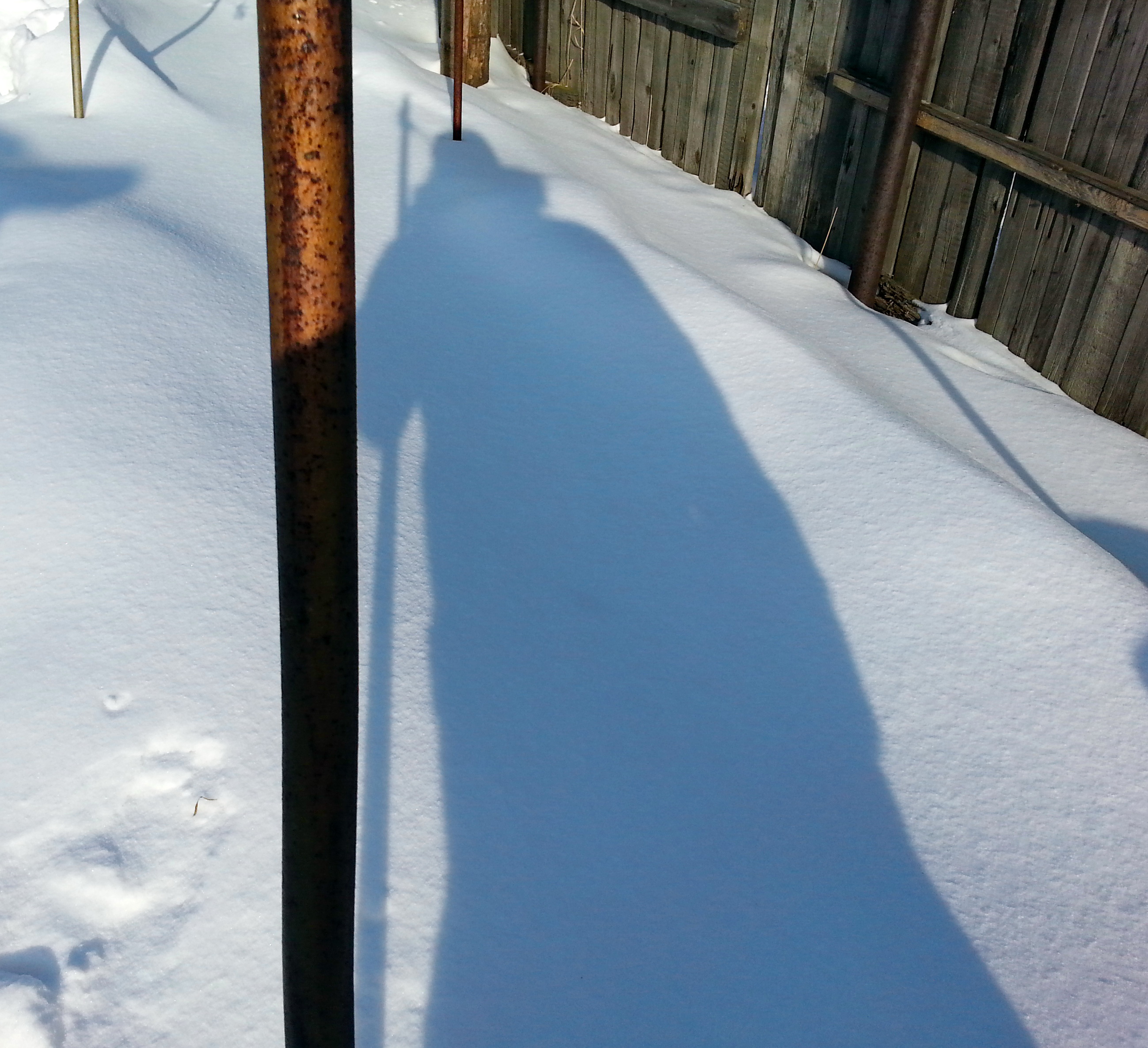 сирёгина околозаборная тень))))))