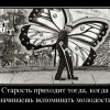 Старость Старость