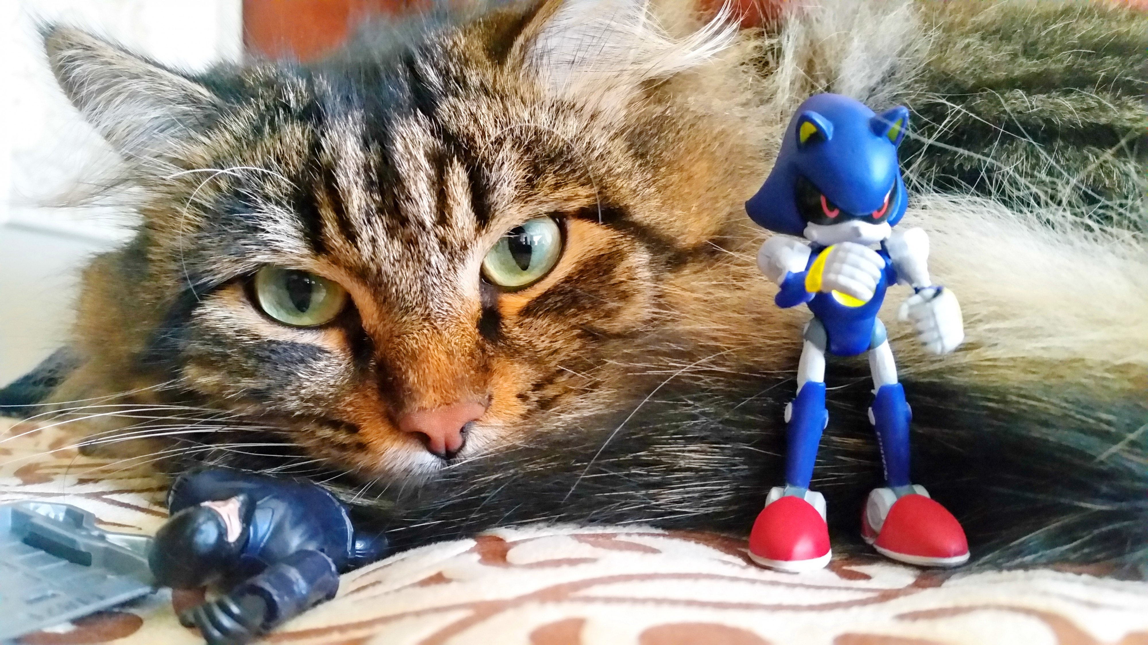 Пушог и ево друк Сониг)))))