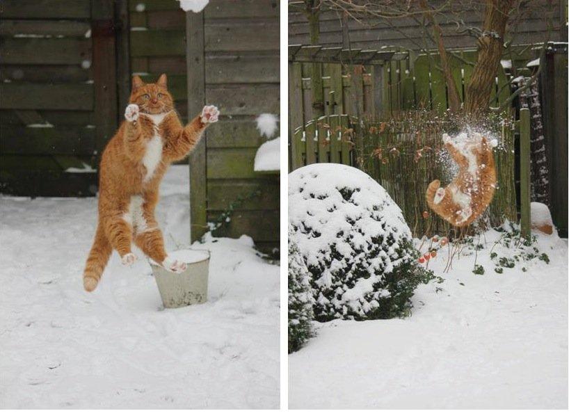 ловитель  СНежкОВ ))