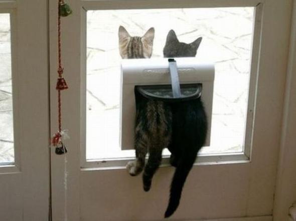 9b828b5b5c957b72853f3499299 prev