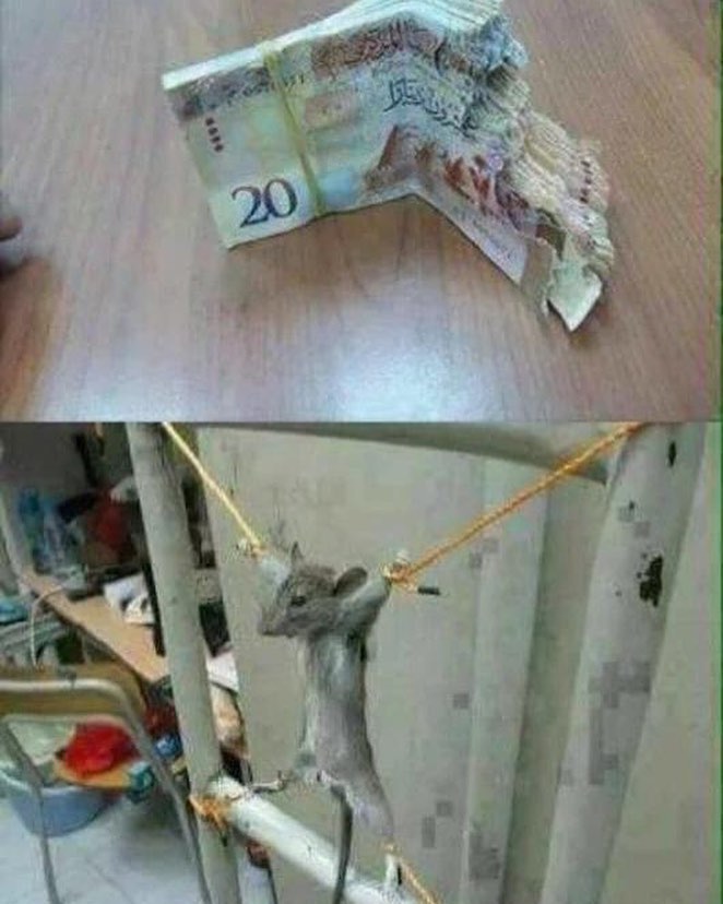 Месть