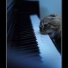 Лучший будильник