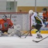 IMG 8583