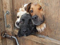 а что это вы тут делаете,а?))