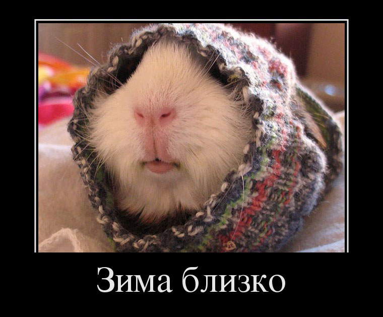 Зима близко