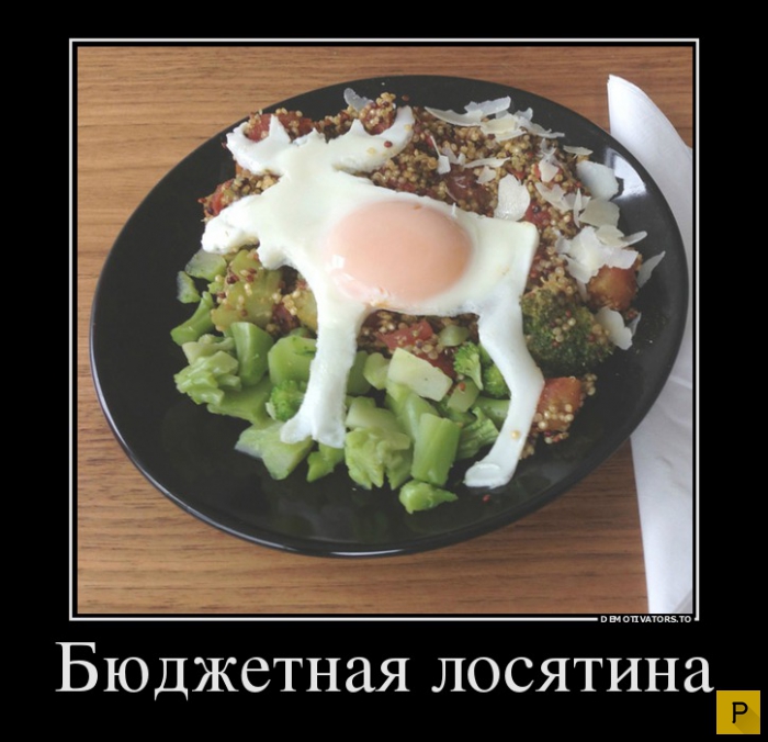 Бюджетная лосятина