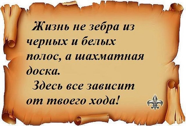 Шахматы жизни