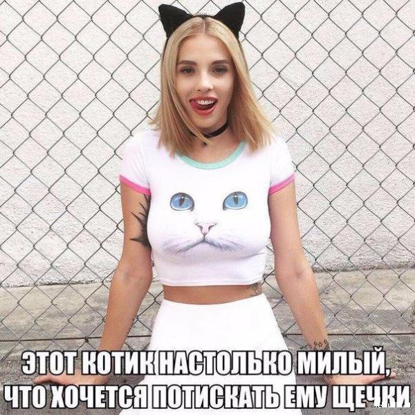 Милый котик