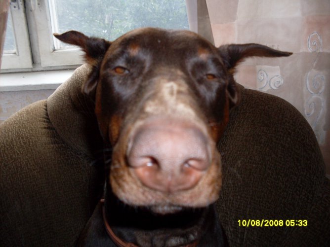 Серьозный))))))