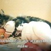 Баю бюшки баю Баю бюшки баю