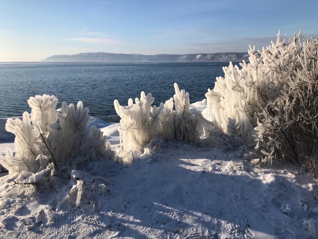 Просто травинки во льду