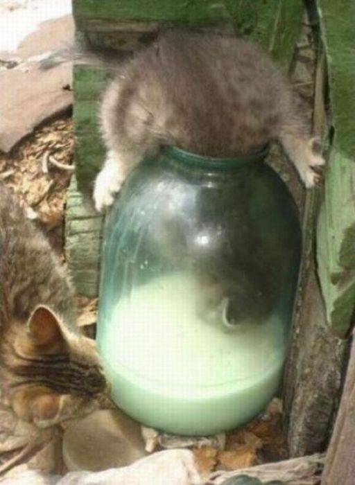 Котэ