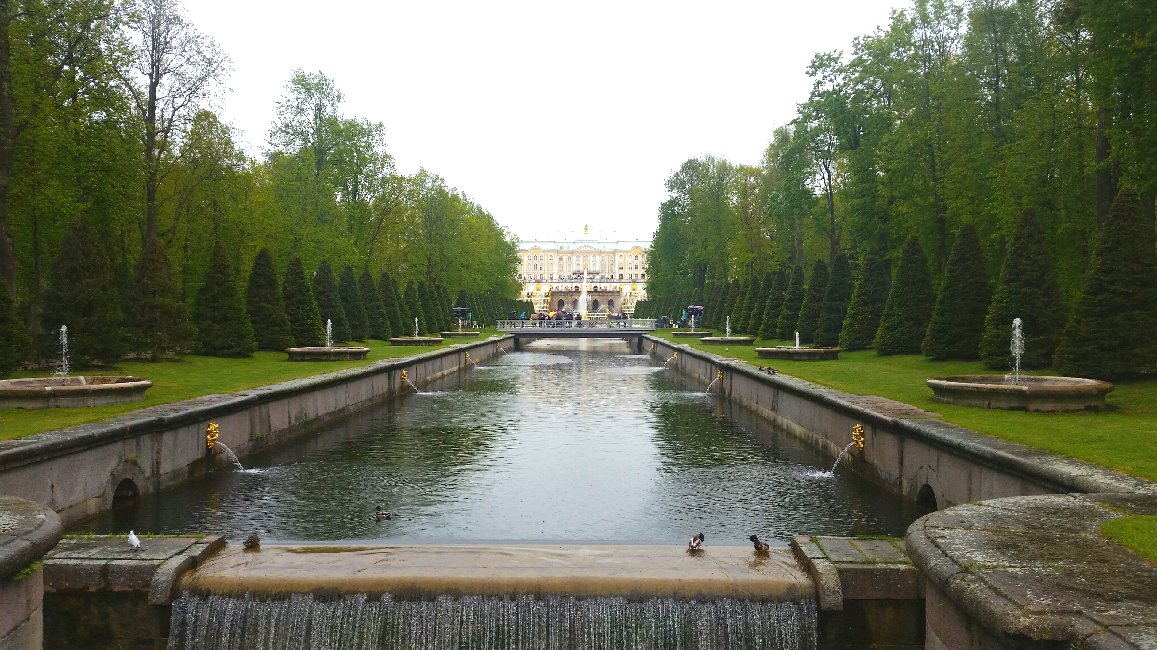 Моё, Санкт-Петербург, город, хорошо, Петергоф