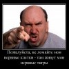 Нервные клетки