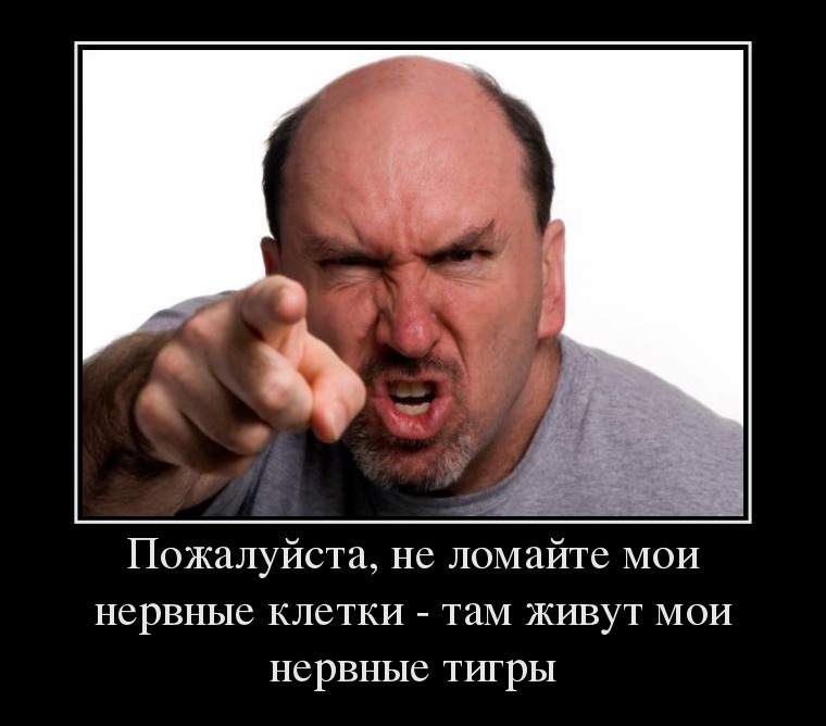 Нервные клетки