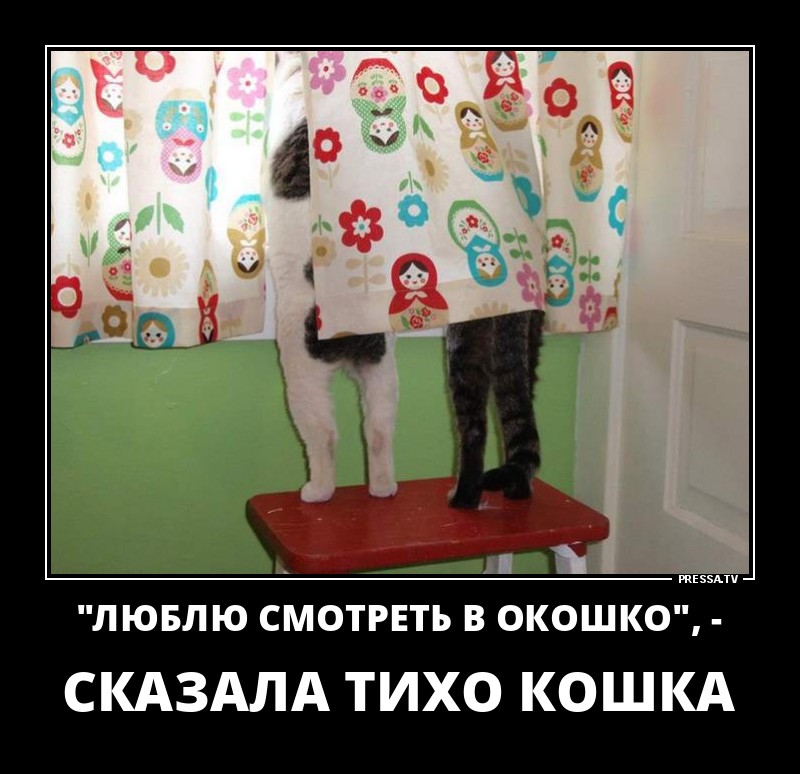 Люблю смотреть в окошко