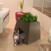 Цветочный горшок превращается в домик для кошки Цветочный горшок превращается в домик для кошки