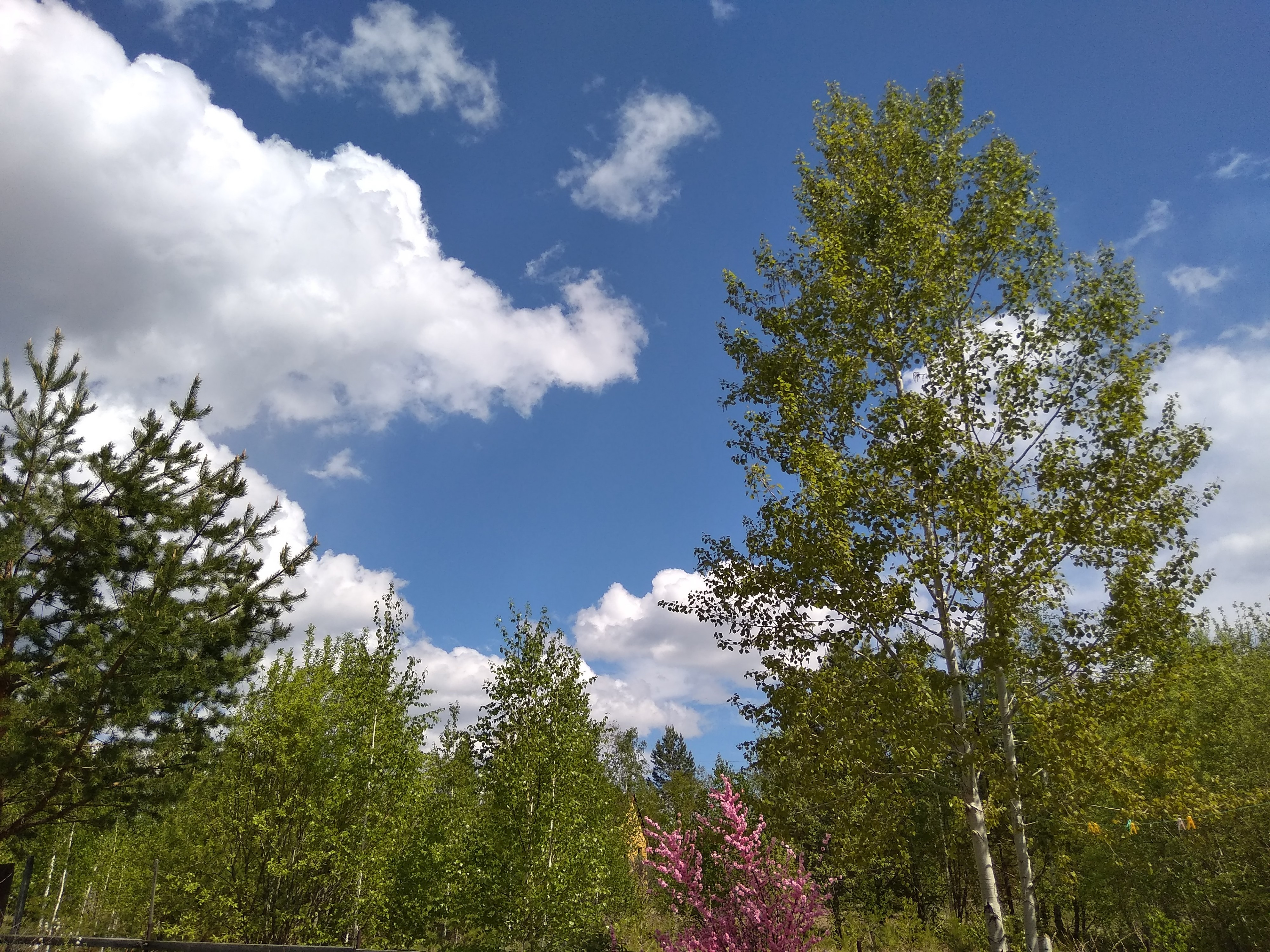 И так понятно для кого 