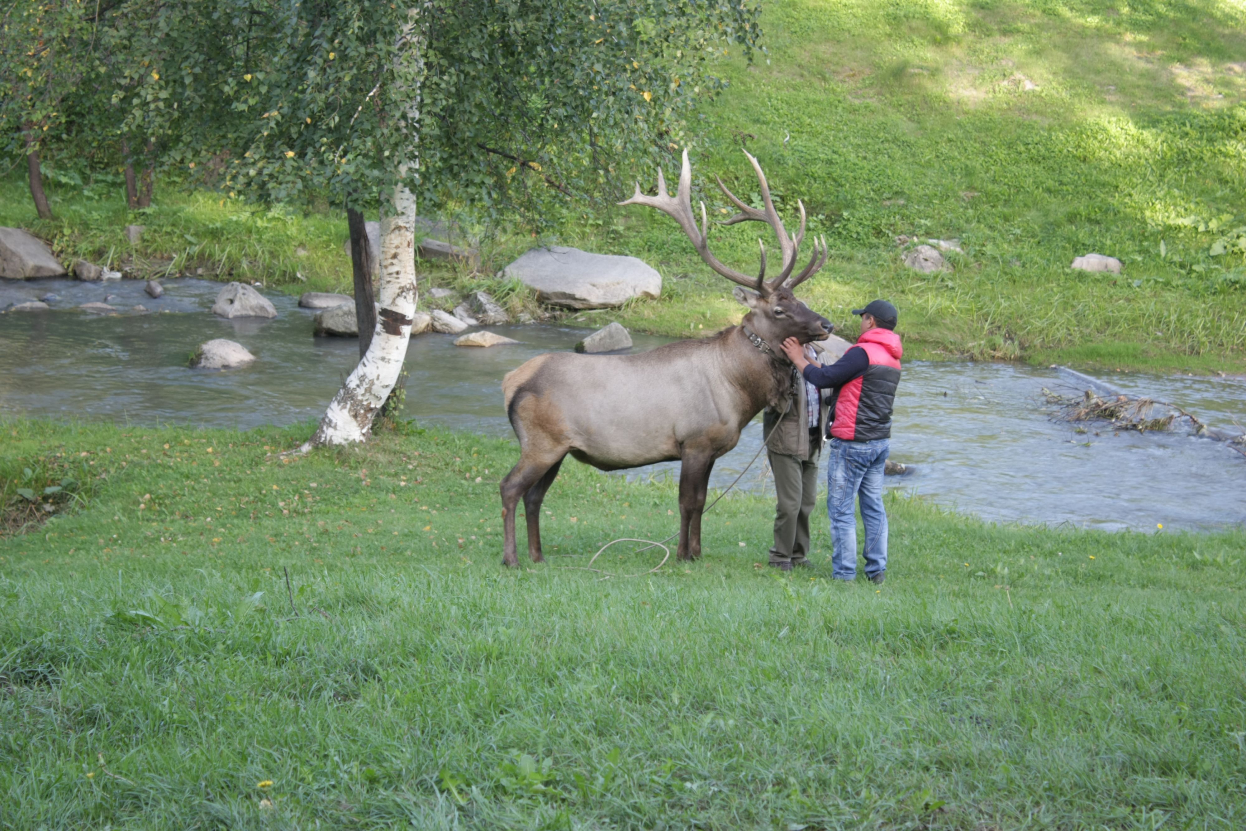 IMG 0984
