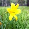 лета яркие краски лета яркие краски
