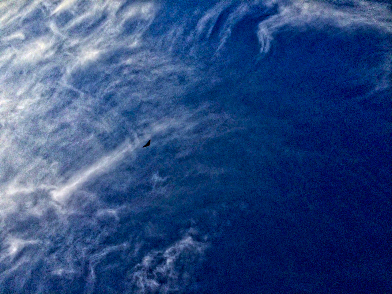 НЛО над Тихим Океаном