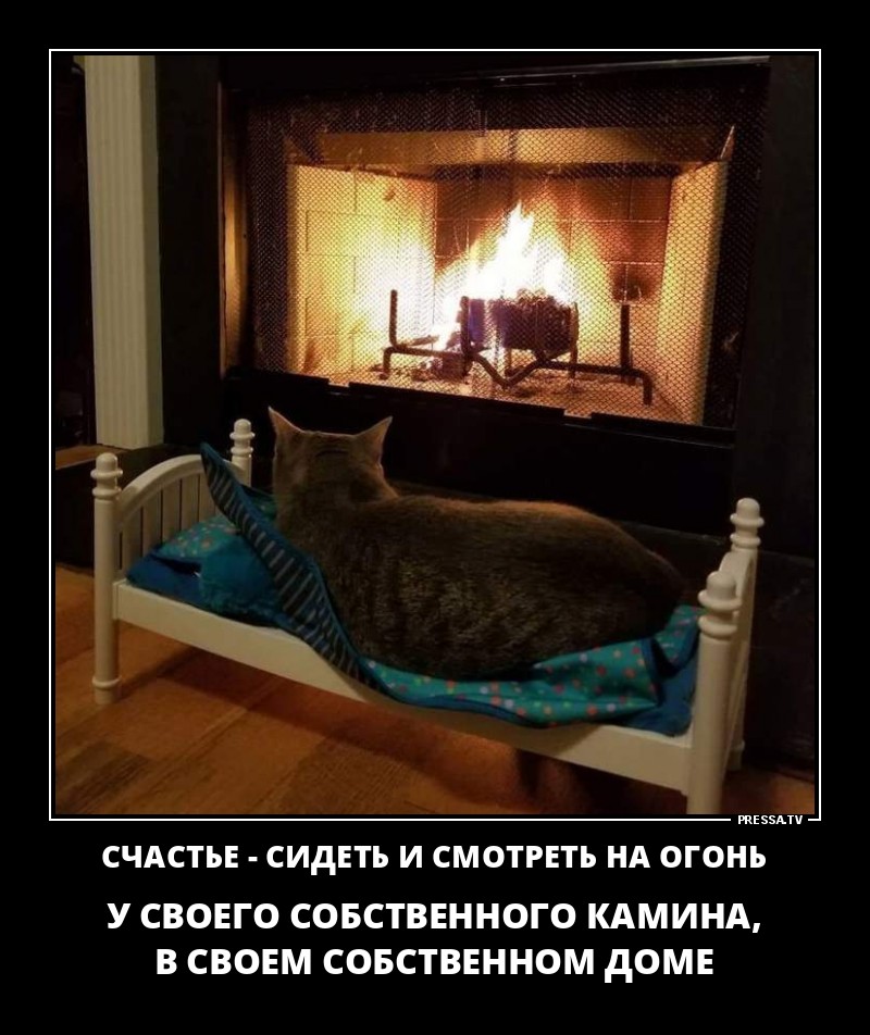 Счастье