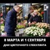 День цветочного спекулянта День цветочного спекулянта