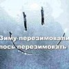 Зиму перезимовали Зиму перезимовали