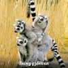 вижу узбагоин))))) вижу узбагоин)))))