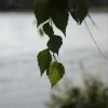IMG 2966 IMG 2966