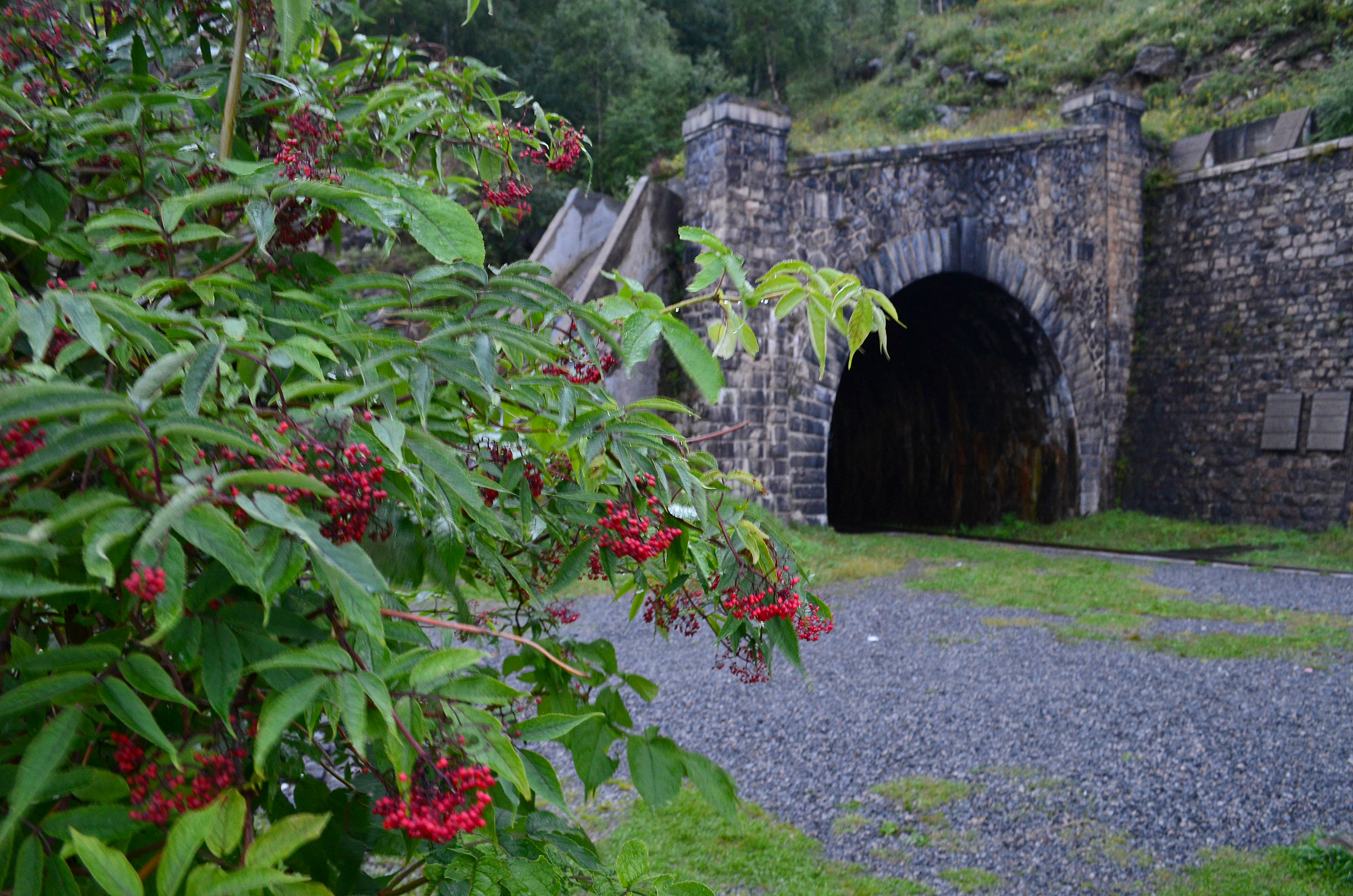 Кругобайкальская железная дорога