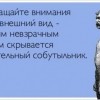 Внешний вид Внешний вид