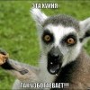 таг узбагаивает))))))