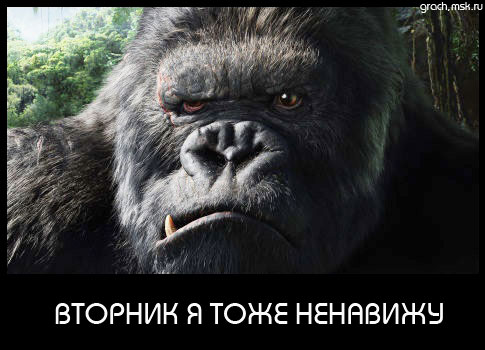 Вторник