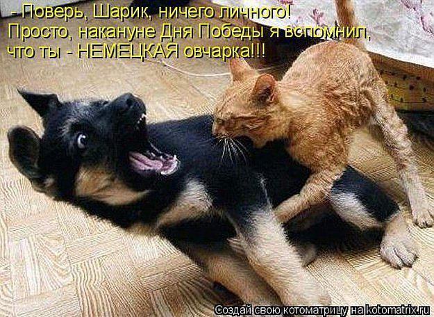 )))