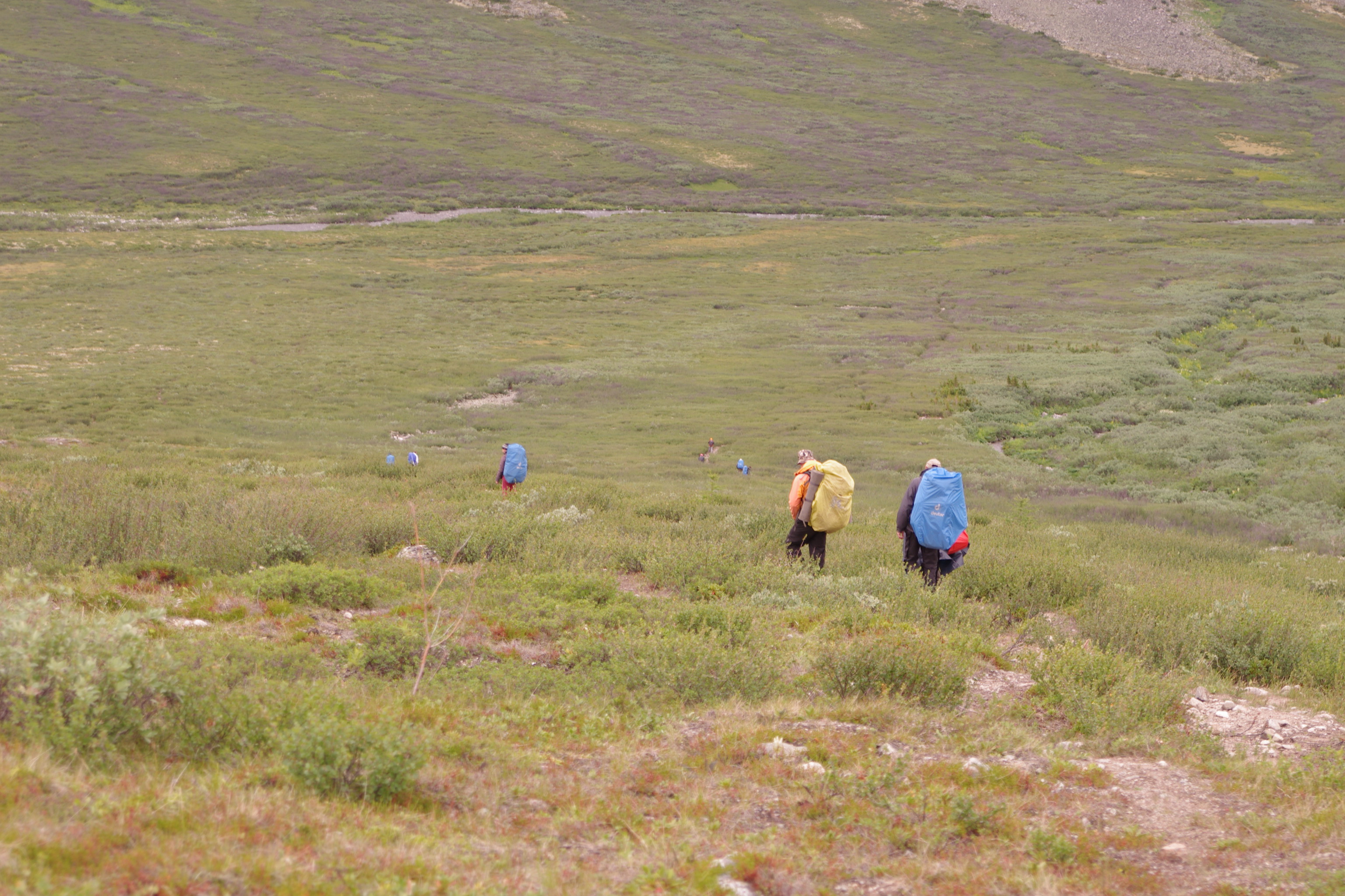 вереница улиток двуногих