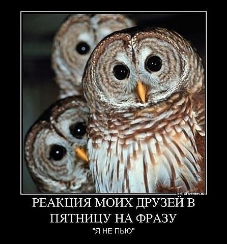 Пятница!!!