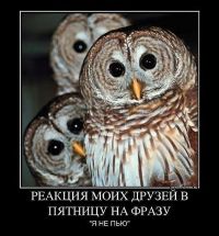 Пятница!!! Пятница!!!