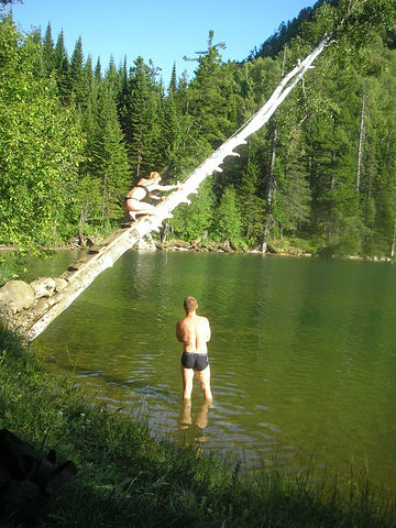 На тарзанке