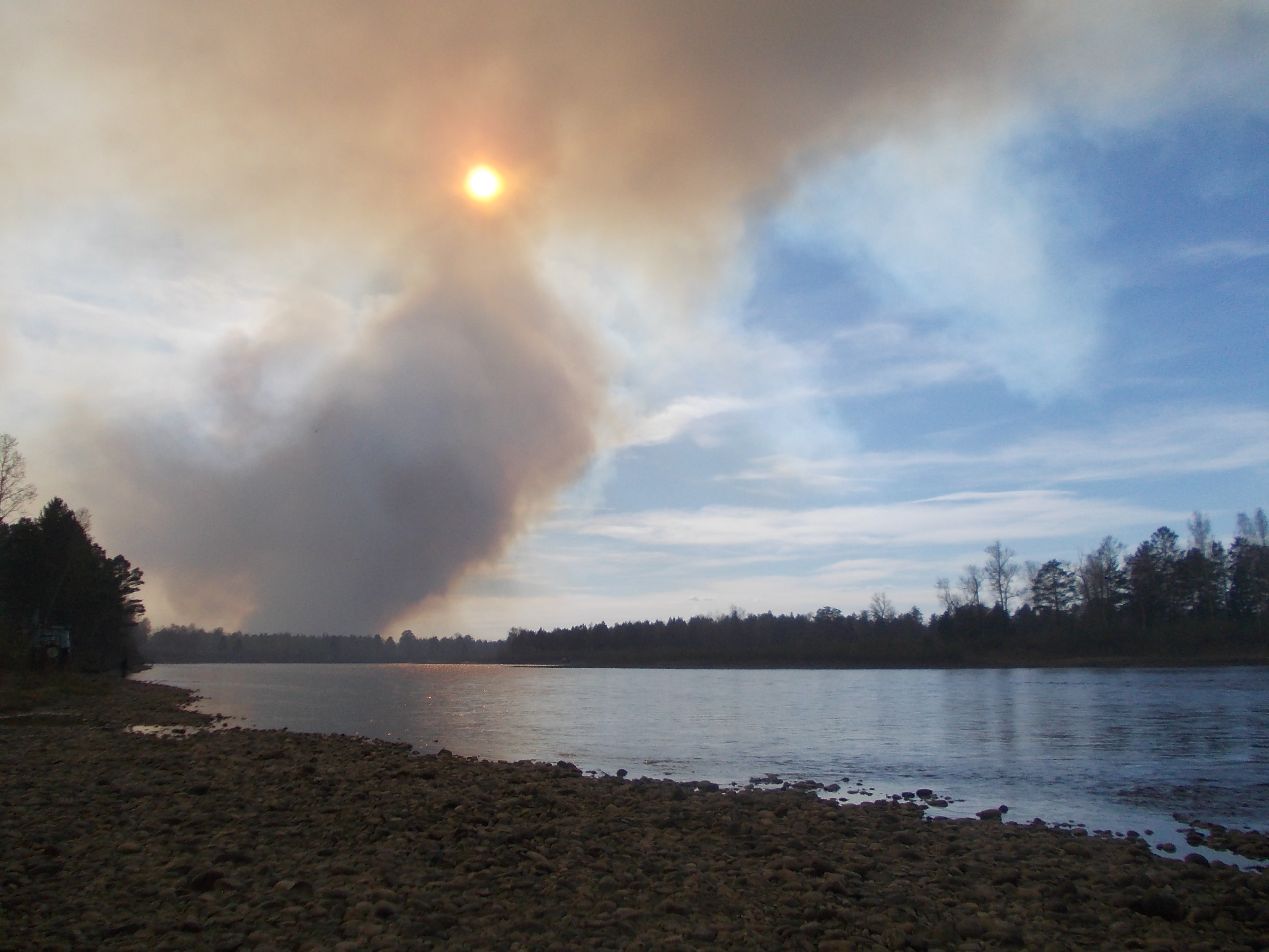 Лесные пожары