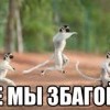 гагие мы збагойные))))))