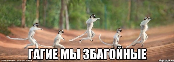 гагие мы збагойные))))))