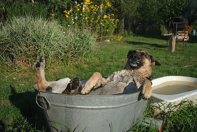 Ах,лето,ты прекрасно))