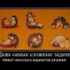 Варианты решения