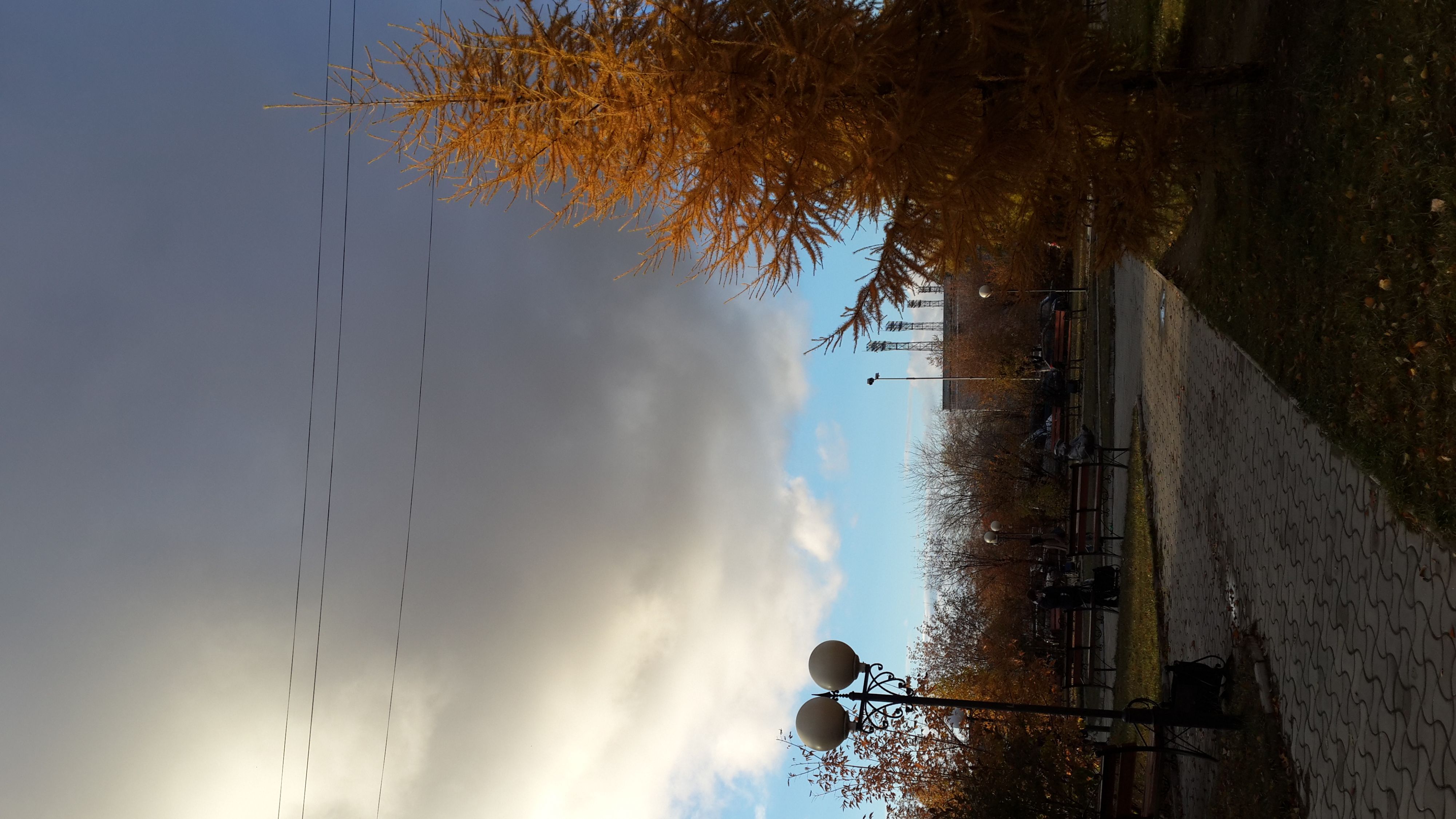 а люди пробегают мимо, на небо вовсе не глядят